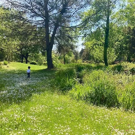 Διαμέρισμα Les Restanques Rez Jardin 2063 Grimaud